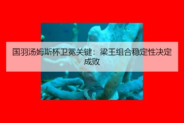 guo-yu-tang-mu-si-bei-wei-mian-guan-jian-liang-wang-zu-he-wen-ding-xing-jue-ding-cheng-bai-3-719.jpg