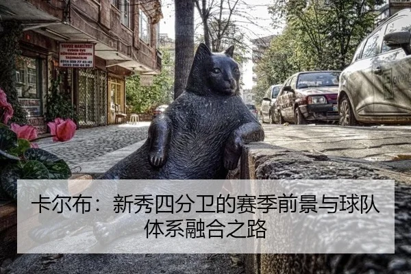 卡尔布：新秀四分卫的赛季前景与球队体系融合之路