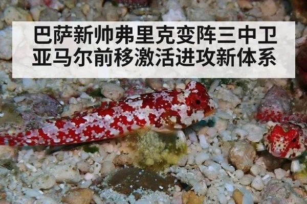 巴萨新帅弗里克变阵三中卫亚马尔前移激活进攻新体系
