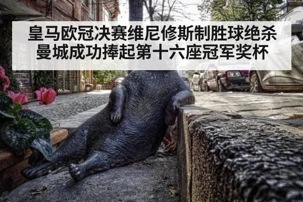 皇马欧冠决赛维尼修斯制胜球绝杀曼城成功捧起第十六座冠军奖杯