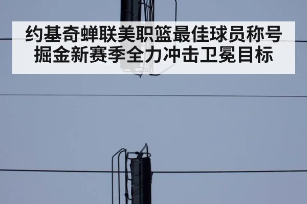 约基奇蝉联美职篮最佳球员称号 掘金新赛季全力冲击卫冕目标